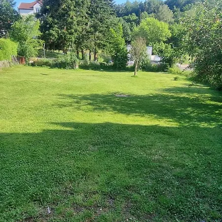 Bodenstein